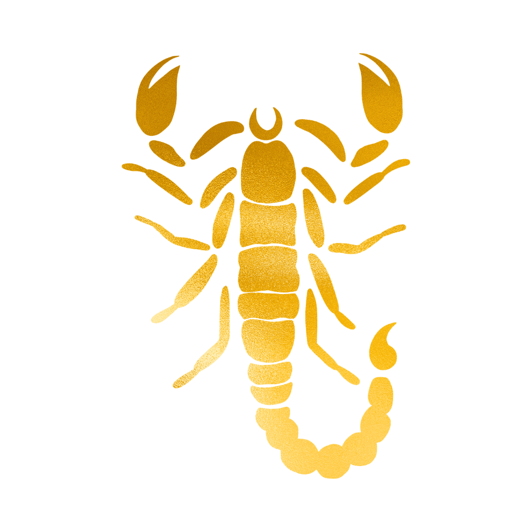 Astrologer Vaishali Mishra Scorpio