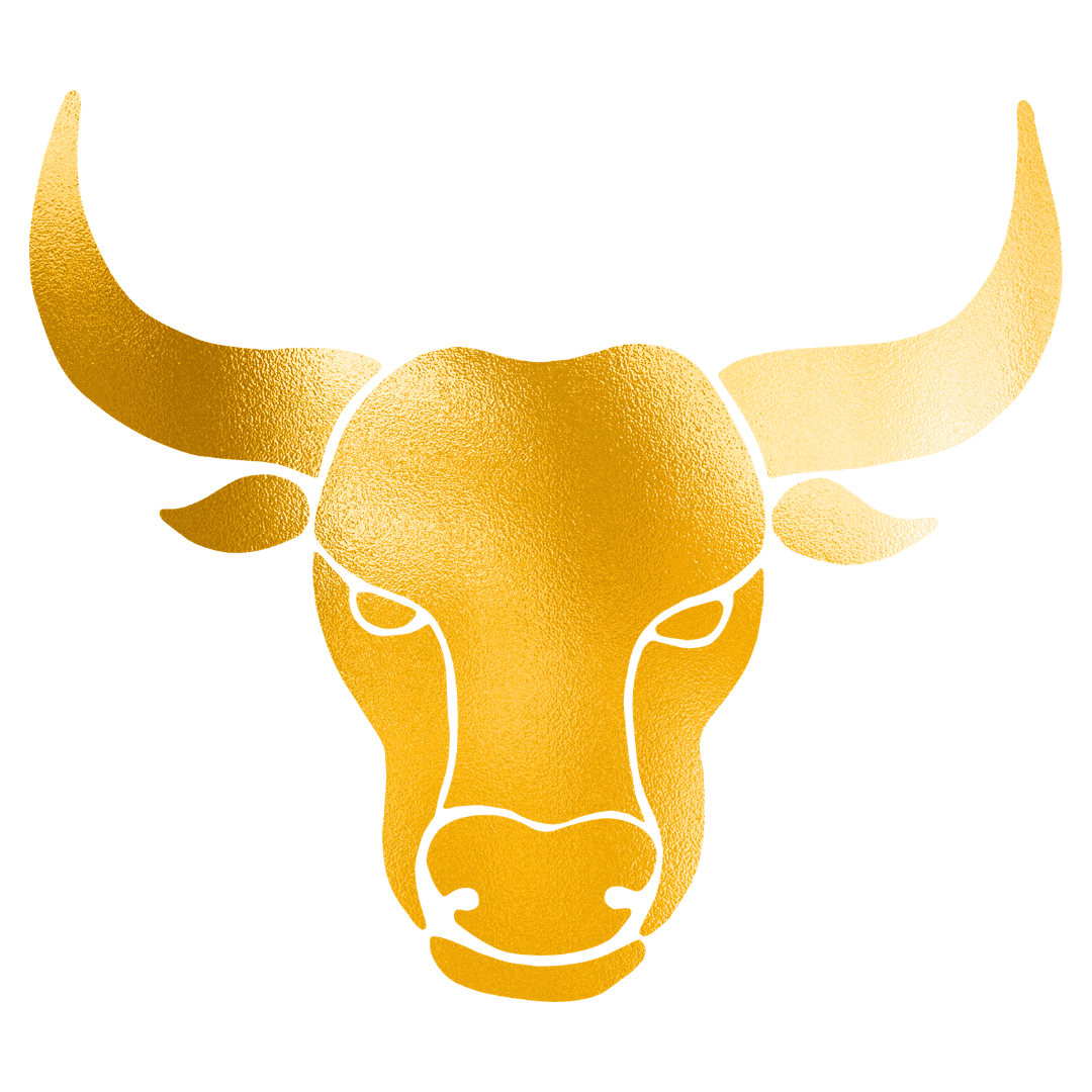 Astrologer Vaishali Mishra Taurus